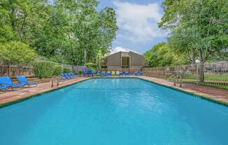 A large swimming pool surrounded by trees and blue lounge chairs.