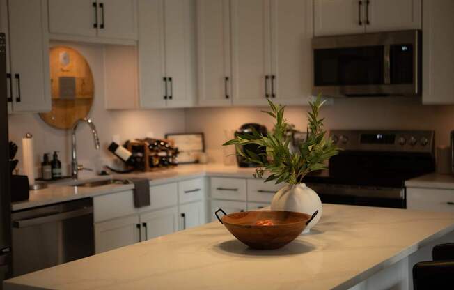A kitchen with a bowl of flowers on the counter at The Pearl, Fort Wayne, Indiana