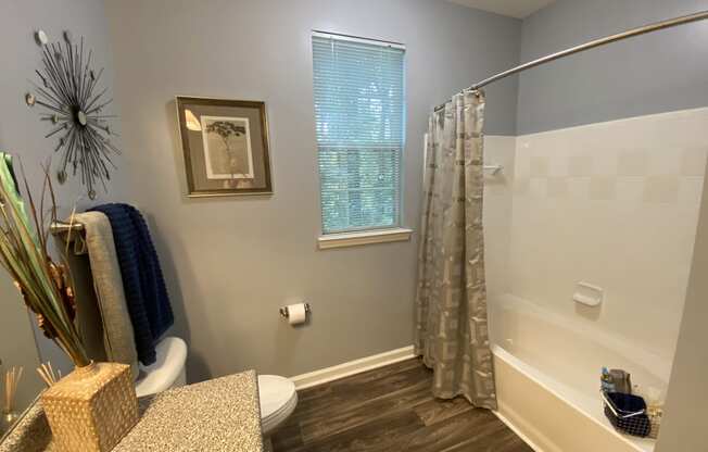 Edgewater Vista Apartments, Decatur Georgia, spacious master bathroom