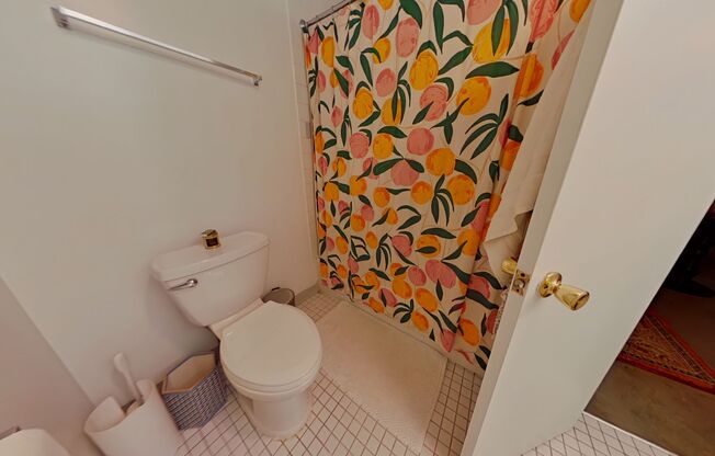 2052 Webster