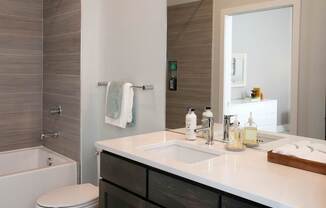 Brushed Nickel Light Fixtures at The Finn I, St. Paul