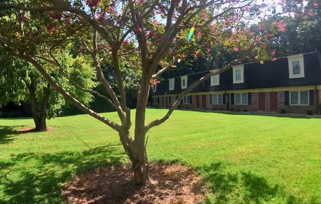 2 beds, 1.5 baths, 907 sqft, $1,300, Unit 14F