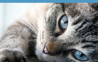 Partner-provided photo for $1395 unit