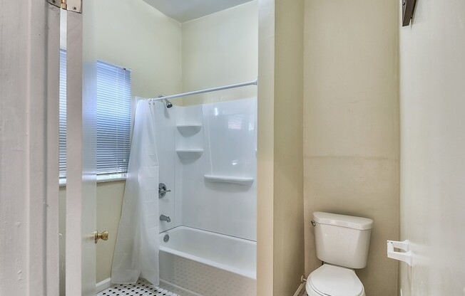 Studio, 1 bath, 150 sqft, $1,245, Unit # 100