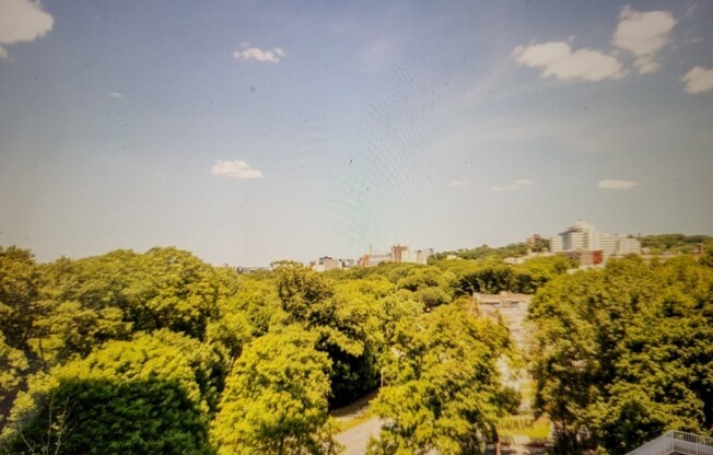 1 bed, 1 bath, 805 sqft, $2,800, Unit 045