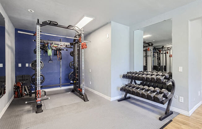 a gym with weights and a mirror on the wall