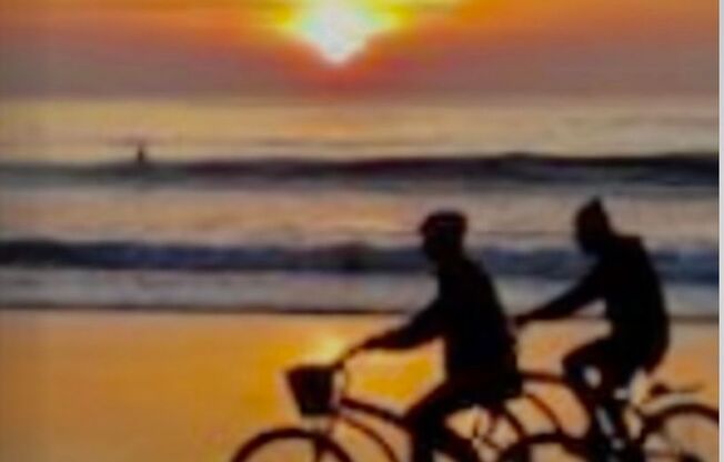 1 bed, 1 bath, 725 sqft, $2,595, Unit 335