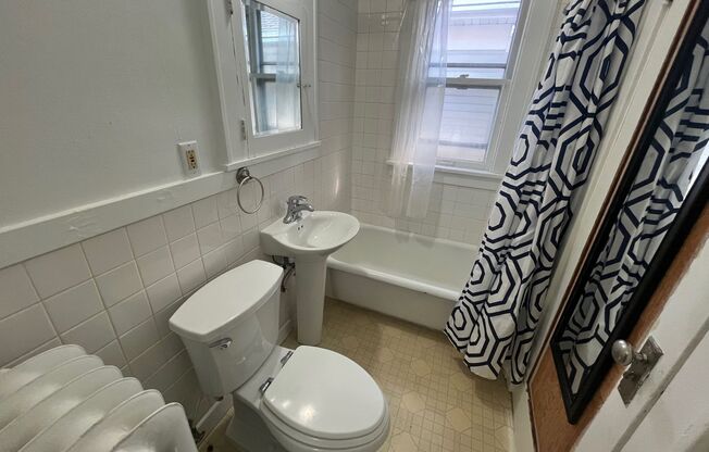 Studio, 1 bath, 500 sqft, $895