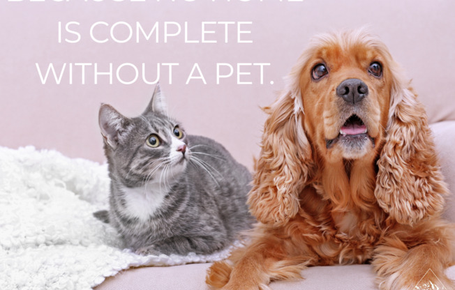 2 beds, 1 bath, 720 sqft, $1,015, Unit 23