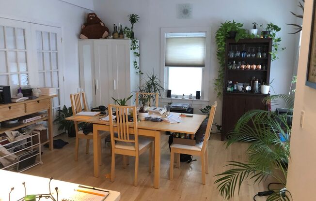 Spacious 1BR + Convertible Large Den/Study in Prime East Rock Location