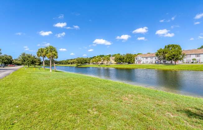 the pond at thevillage
