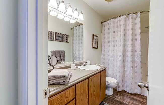 a bathroom wood cabinetry and hardwood-style flooring
