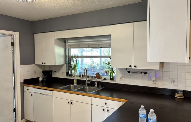 1/4 Acre in Meadow Oaks