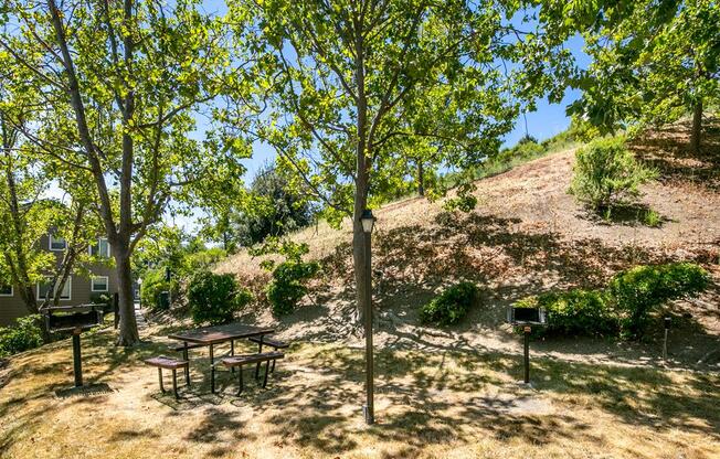 tree landscaping at Waterscape, Fairfield, CA