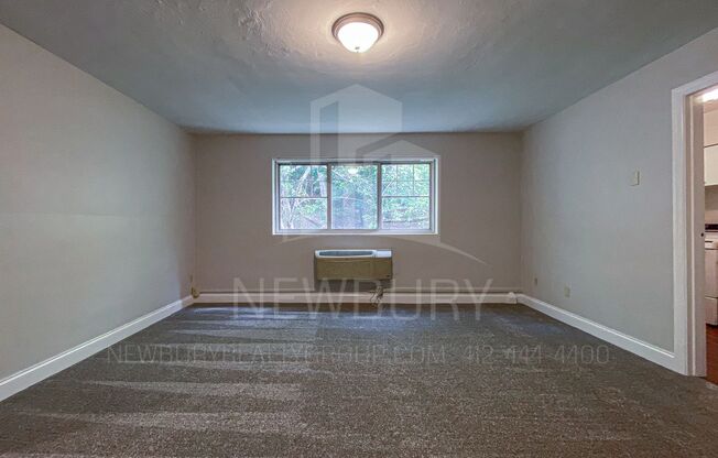 1 bed, 1 bath, 520 sqft, $699, Unit 309-06