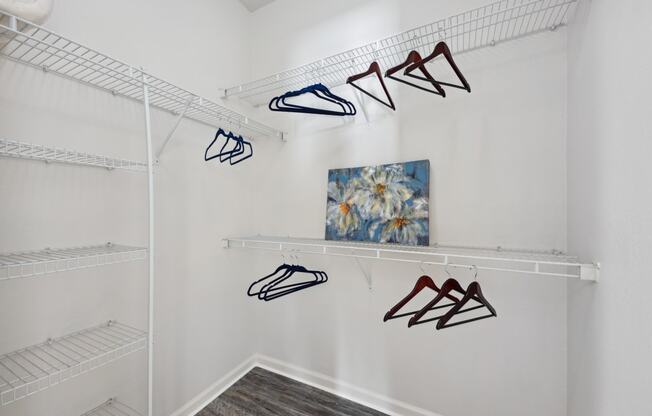 a closet with shoe racks and a painting on the wall