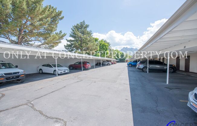 2 beds, 1 bath, 880 sqft, $1,249, Unit 17