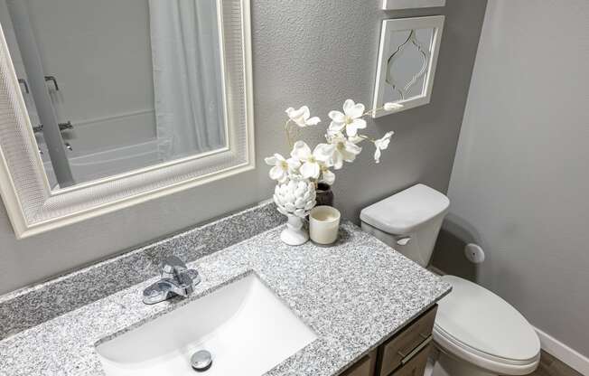 a bathroom with a sink and a toilet and a mirror
