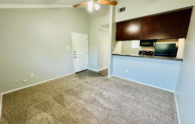 Studio, 1 bath, 500 sqft, $750, Unit 208