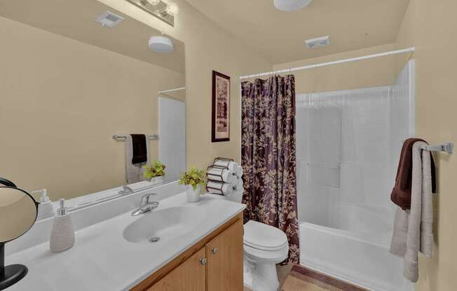 Bathroom at Terra Vista Apartments