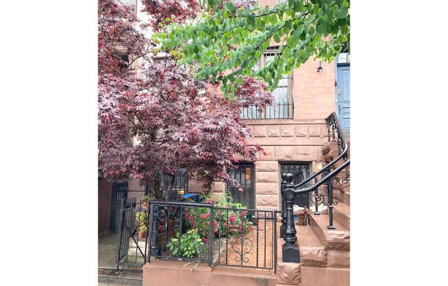 1 bed, 1 bath, $3,200, Unit 1