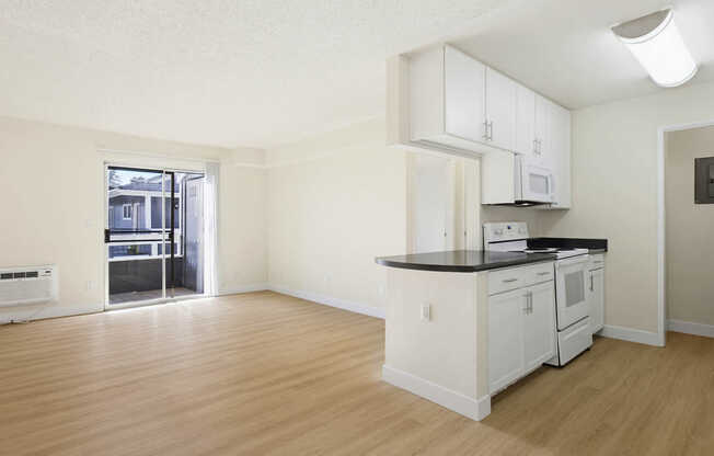 Kitchen and Living Area