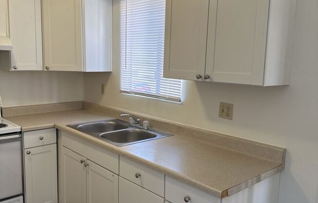 1 bed, 1 bath, 550 sqft, $950, Unit Apt 01