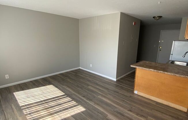 Studio, 1 bath, $1,000, Unit 2747313