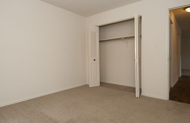 Carpet in bedroom with closet space