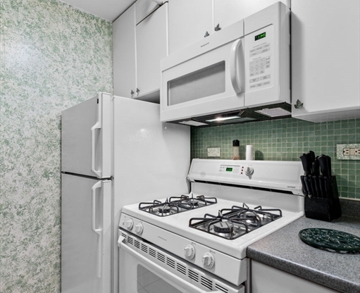 1 bed, 1 bath, 590 sqft, $3,150, Unit 17J