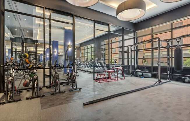 the gym is equipped with a variety of weights and exercise equipment