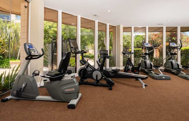 A gym with treadmills and exercise bikes.