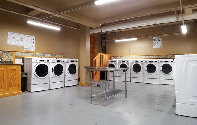 Studio, 1 bath, 450 sqft, $1,125, Unit Apt. 6M