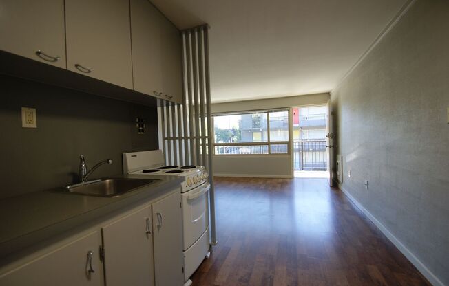 1 bed, 1 bath, 393 sqft, $1,150, Unit 217