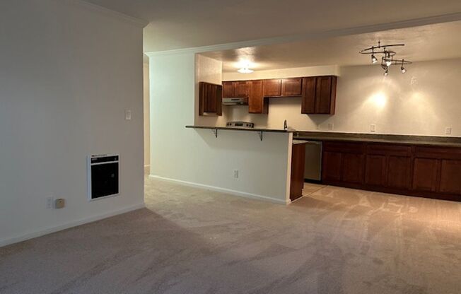 1 bed, 1 bath, $2,295, Unit # 209