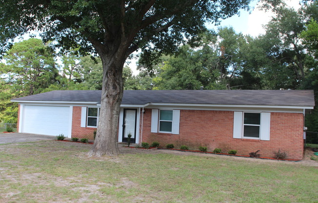 Coming Soon: Charming 3 Bedroom in South Tyler!