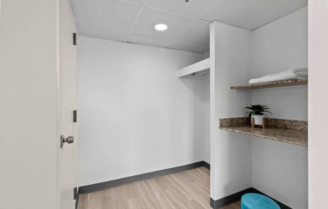 A small room with a door, a shelf with towels, a plant, and a blue stool.