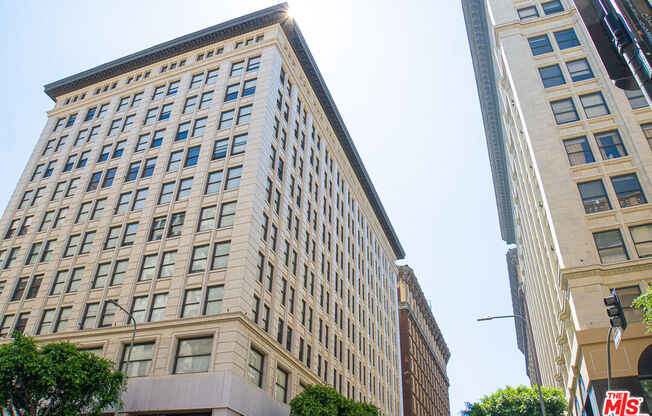 1 bed, 1 bath, 810 sqft, $2,500, Unit 301