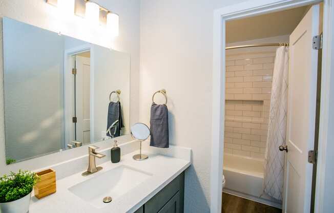 a bathroom with a sink and a mirror and a shower