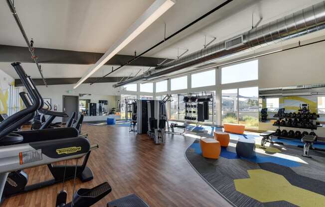 Gym with Hardwood Floor, Treadmills, Excercise Bike, Weight Machines, Full Windows with View of Exterior, and Hand Weight Rack