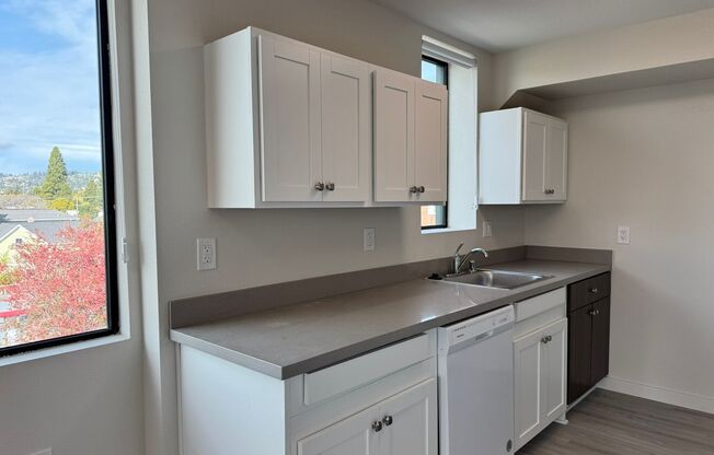 1 bed, 1 bath, 547 sqft, $3,200, Unit 402