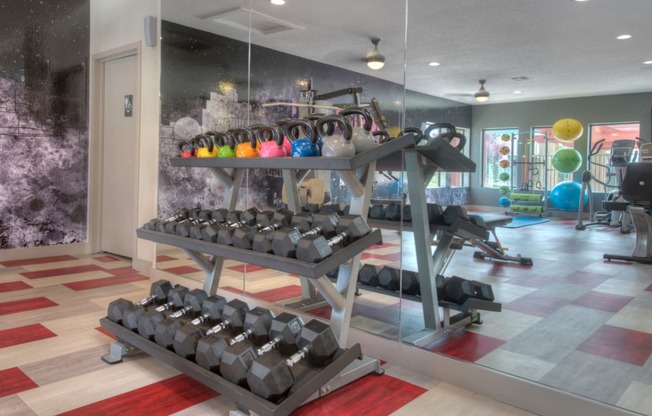 Weight Equipment at Vizcaya Hilltop Apartments, Reno, 89523