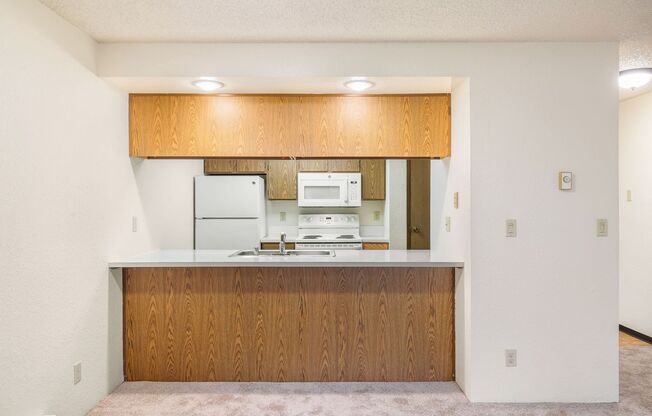 Spacious 1BD/1BA apartment near Northgate
