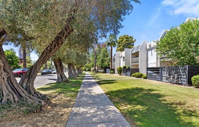 1 bed, 1 bath, $1,495, Unit MV A14