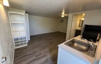Studio, 1 bath, 300 sqft, $1,500, Unit Studio (middle)