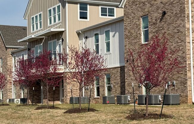 Willow Crossing Apartments