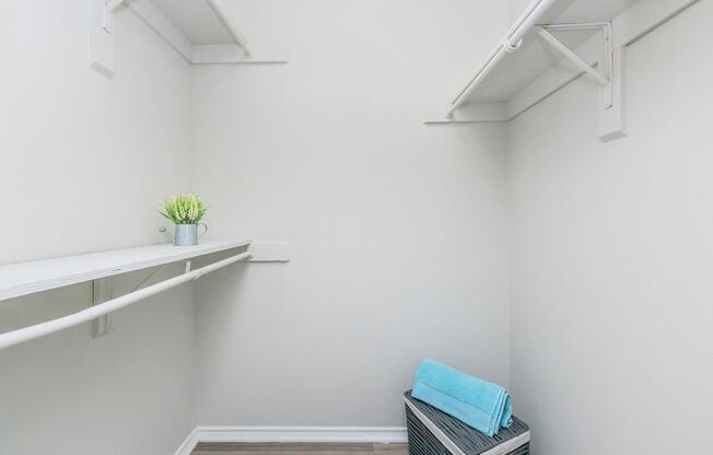 An empty closet with white walls and wooden flooring. Two shelves are mounted on the walls, and a small potted plant sits on the top shelf. A gray laundry basket with a blue towel resting on top is located on the floor. The space is bright and tidy, suggesting organization.