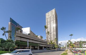 Studio in Hawaiian Monarch