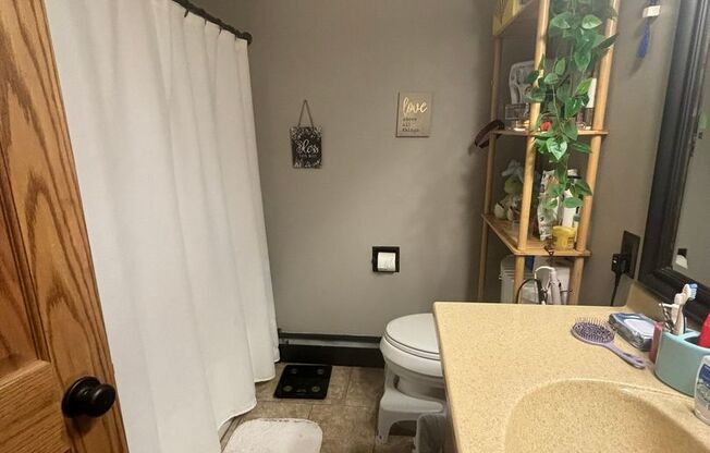 1 bed, 1 bath, $1,200