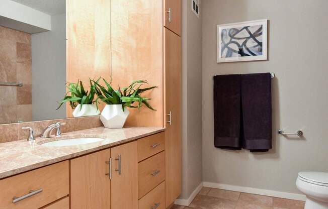 A bathroom with a sink, toilet, and a potted plant.